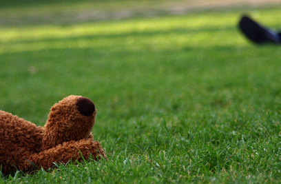 Doudou abandonné